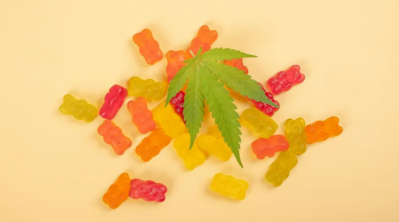 What You Should Know About THC Gummies