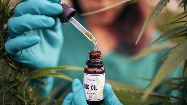 Benefits and Uses of CBD Oil