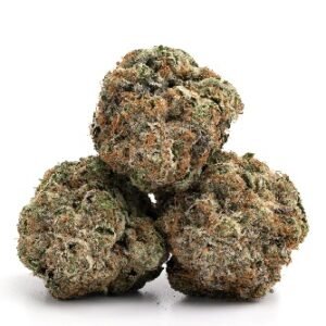 Bubblegum Gelato Strain UK