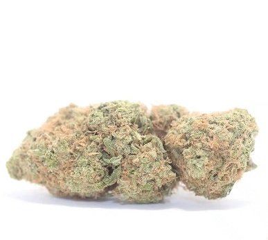 Zelato weed strain UK