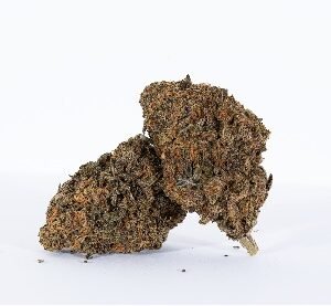 Grape Sorbet Marijuana UK
