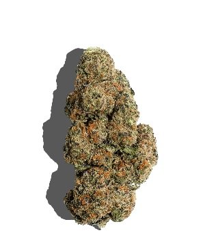 Apple Mintz Strain UK