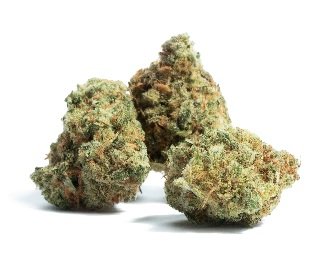Black Cherry Gelato Strain UK