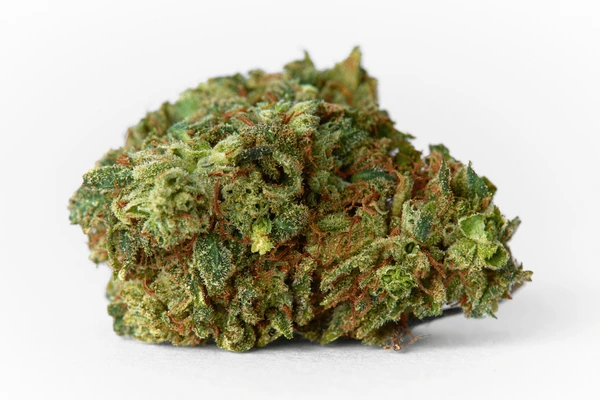 Cryptic Kush Marijuana UK