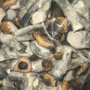 ENOKI DRIED MUSHROOM UK