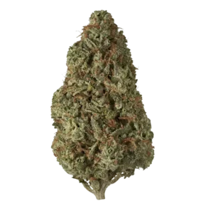 Sativa Weed Strains UK