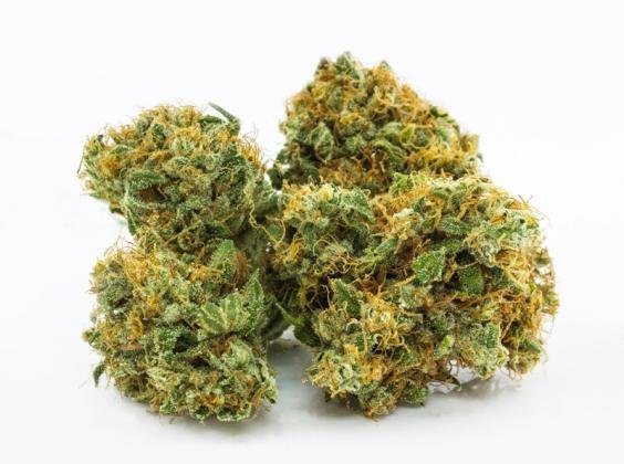 Snow Cone Marijuana UK