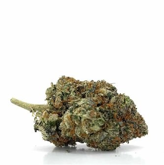 Stardawg Cannabis strain UK